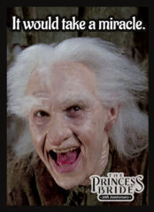 Legion: The Princess Bride 30th Anniversary It Would Take a Miracle Sleeves